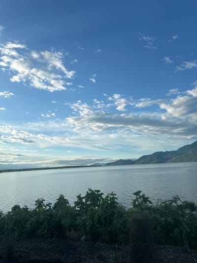 The image displays a serene natural landscape, oriented as if viewed horizontally. A vast expanse of calm water, likely a lake or large river, dominates the mid-ground, extending towards the left side of the frame. Gentle ripples are visible across its surface, reflecting the bright sky.
On the far side of the water, a chain of dark, rugged mountains forms a dramatic backdrop, stretching across the entire horizon. Their imposing silhouettes suggest considerable scale and distance. Above the mountains and water, the sky is a brilliant blue, gradually lightening towards the horizon. It is dotted with numerous white clouds of varying sizes and shapes, from wispy streaks to fluffy clusters, indicating fair weather.
In the immediate foreground, along the right side of the image, dark green bushes and leafy vegetation are visible, suggesting a bank or shoreline. The ground beneath the foliage appears dark and textured. A very small, dark, elongated object, possibly a distant boat or marker, can be faintly seen on the water near the base of the mountains.
The scene depicts a peaceful, untouched natural environment. No human activity or people are visible. The lighting suggests late morning or early afternoon, with bright, diffused sunlight illuminating the clouds and reflecting off the water. The overall impression is one of tranquil natural beauty, consistent with the mountainous lakeside scenery of Vranjina, Montenegro, near Lake Skadar. There is no visible text.