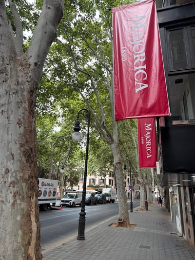 This is a full-frame, eye-level, outdoor shot of a street scene in Palma, Spain, with a focus on the architecture and natural elements. The image features large trees with textured bark lining the sidewalk, casting shadows over the paved walkway. Red banners with white text, reading "MAJORICA 1890," hang from the building on the right. The building itself appears to be a commercial establishment with large windows. A street lamp with a globe-shaped light fixture stands on the sidewalk. Across the street, a white delivery truck with the logo "GARAU" is parked, along with several cars. The street is paved, and there are buildings visible in the background. The sky is overcast.