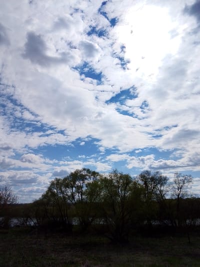 The image shows a landscape scene in Дерезовка, Russia. In the foreground, there is dark vegetation, likely grass or shrubbery. A line of trees with new leaves is visible in front of a body of water. Above the trees, the sky is filled with a mix of white and gray clouds scattered across a blue background. The sun is high in the sky, partially obscured by clouds, creating a bright glare. No people or animals are visible.