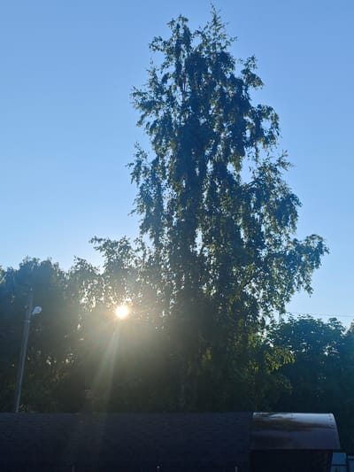 The image captures a bright, sunny day in Khlevino, Russia. The sky is a clear, vibrant blue, with the sun shining intensely and creating visible sun flares and rays as it peeks through the lush green leaves of a tall tree. The tree, with its dense foliage, dominates the upper half of the frame, its branches reaching upwards. In the background, more trees form a thick green canopy, suggesting a natural or semi-rural setting.
In the lower part of the image, the dark, textured surface of a roof is visible, and to the right, a curved, metallic object, possibly part of some outdoor equipment or structure, reflects the sunlight. A light pole with a streetlamp stands on the left side, partially obscured by the trees, adding a touch of civilization to the natural scene. The overall impression is one of a warm, bright, and peaceful day, likely during the daytime. There is no visible text in the image.