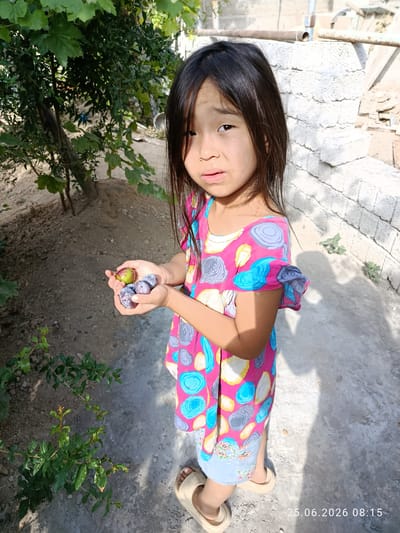 A young girl, appearing to be of Asian descent, stands outdoors in what appears to be a courtyard or backyard. She has long, dark hair and is wearing a pink and blue patterned dress and light-colored sandals. She is holding a small handful of dark purple fruits, possibly plums, in her hands. The background consists of a dirt ground, some greenery including a bush and a tree, and a brick wall structure. The lighting suggests it is daytime. A timestamp on the image indicates "25.06.2026 08:15". The location is stated to be Erkin, Uzbekistan.