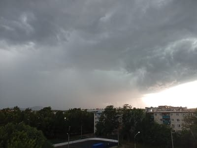 The image captures an overcast sky above a residential area in Kyshtym, Russia. The sky is filled with heavy, dark grey clouds, suggesting an impending storm. The lower portion of the image shows a cluster of apartment buildings and trees. The trees, some of which appear to be birch or poplar, are densely packed and their leaves are being visibly swayed by the wind, indicating a strong breeze. Streetlights are visible in the foreground and between the buildings. A sports court with a blue enclosure is also visible in the middle ground. The overall atmosphere is somber and dramatic due to the cloudy sky and wind-swept trees.