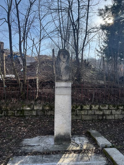 In Panichkovo, Bulgaria, an outdoor scene features a weathered stone bust atop a grey, rectangular stone pedestal. The bust depicts a person, likely female, with a solemn expression, wearing a head covering that drapes over the shoulders. The pedestal, approximately twice the height of the bust, has a recessed blank panel on its front face and exhibits dark discoloration near its base. It rests on a multi-tiered, partially broken concrete foundation surrounded by loose concrete slabs and a ground covered with dry brown leaves and exposed soil.

Behind the monument, a low retaining wall of grey concrete blocks, partially covered with moss, supports a rusted dark red metal fence. Beyond the fence, a steep, overgrown embankment rises, densely populated with numerous bare deciduous trees and shrubs. Visible on the upper left slope are remnants of debris, including a blue tarp and other refuse. To the right, an evergreen conifer is present, with sunlight brightly filtering through its branches. The sky above is clear blue, and distinct shadows are cast by the monument and trees, indicating a sunny day. No individuals are present or engaged in any actions within the frame.