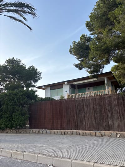The image shows a white, two-story house with a dark-tiled roof, located in Urbanización Cabo Roig, Spain. The house has a balcony with a wooden railing and a light-colored awning over the entrance. The property is surrounded by a fence made of dark-colored reeds, with a stone base. Large pine trees and smaller green bushes are visible in front of and around the house. The foreground shows a grey, textured pavement with concrete curbs and a section of asphalt road. The sky is clear and light blue, with a hint of a white contrail. The image appears to be taken during the day, possibly in the late afternoon due to the soft lighting.