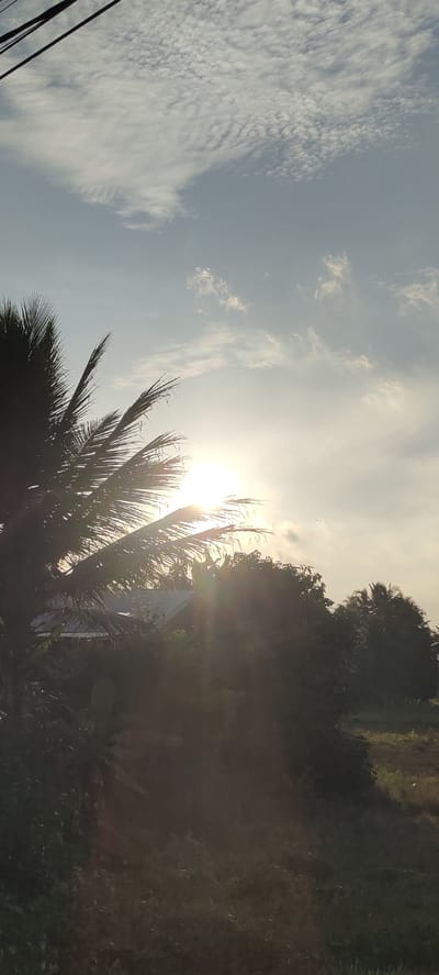A low-angle outdoor shot captures a tropical scene as the sun shines brightly through the leaves of a palm tree, creating a lens flare effect. The sky above is a soft blue with scattered, wispy clouds and dark, thin wires running across the top left corner. Below the palm tree, a building with a grey roof is partially visible, surrounded by lush green vegetation and more trees. The overall lighting suggests either sunrise or sunset.