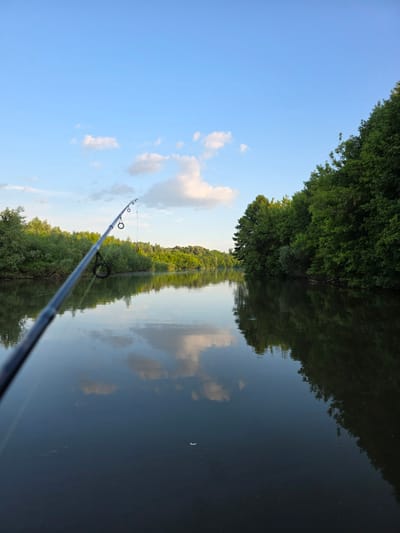 An outdoor, vertical, eye-level shot captures a river in Togashevo, Russia, under a blue sky with scattered clouds. A fishing rod extends into the frame from the left, its tip angled upwards and over the calm water. The riverbanks are densely lined with lush green trees, their reflections shimmering on the water's surface. The water is dark and still, mirroring the sky and vegetation. There are no people or animals visible in the image. The scene conveys a sense of tranquility and nature.