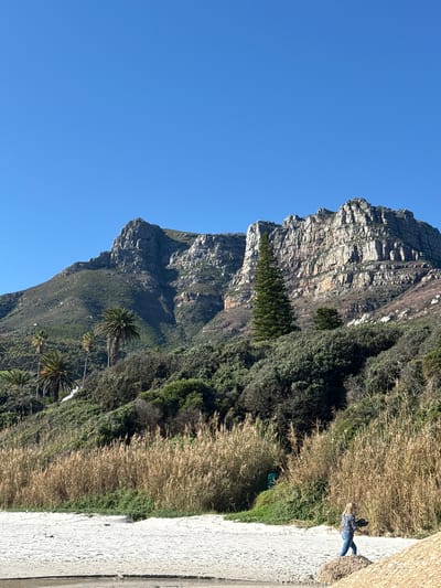 The image captures a coastal landscape near Hout Bay, South Africa. The scene features a steep, rocky mountainside with visible geological layers and sparse vegetation, including trees and shrubs. A narrow path or walkway runs along the base of the mountain, bordered by tall, dry grass and greenery. A single person is visible on the path, wearing blue jeans and a patterned shirt. The sky is clear and bright blue.