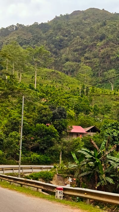 The image shows a rural scene in Minh Tân Commune, Vietnam. A road with a guardrail runs along the bottom, marked with a kilometer sign "H3 H3 19 19". Beyond the guardrail is dense vegetation with banana plants and other foliage. Partially obscured by trees is a house with a red roof. The background is dominated by a heavily forested hillside, rising to a peak in the distance under an overcast sky. Power lines are visible cutting through the trees.
