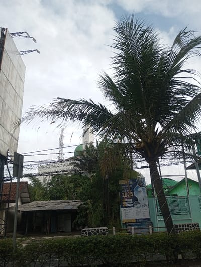 A tall palm tree with coconuts dominates the foreground. Behind it, a mosque with a green dome and a tall tower is partially obscured by trees and power lines. A large advertisement is placed near the palm tree. To the left, there is a building with a weathered roof and another tall building alongside a few power line lights. A low hedge runs along the bottom edge of the frame. The sky is overcast with shades of grey, hinting at a potentially dull weather.