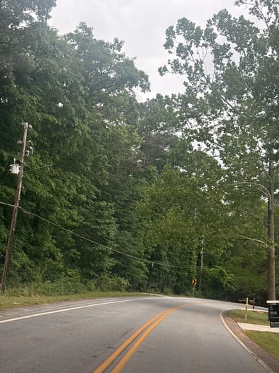 The image depicts a road winding through a wooded area, likely in Mountain Park, USA. The road is paved with a gray surface and features double yellow lines down the center. To the right of the road, there's a narrow grassy verge. A sign is present on the right side of the road, displaying what seems to be real estate advertisement. Lush green trees and foliage dominate the landscape on the left side of the road. A utility pole with wires is visible along the left side. The sky is overcast, suggesting a cloudy day.