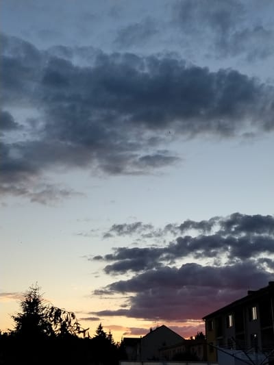 The image is a photograph of a cloudy sky over the city of Dobev, Czechia. The sky is a mix of dark gray, light blue, and hints of purple and orange from what appears to be either sunset or sunrise. There are several dark, silhouetted trees in the foreground on the left, with a few smaller trees further back. In the background, there are the dark silhouettes of buildings. A few small specks, possibly birds, are visible in the sky. The overall impression is a dramatic sky scene over a residential area at dusk or dawn.