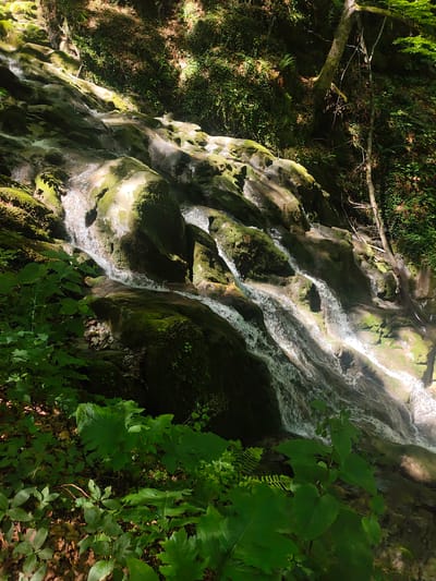 The image shows a cascading waterfall flowing over moss-covered rocks in a forest. The sun dapples through the trees, illuminating the water and creating highlights on the wet stones. Lush green foliage, including large leaves and ferns, frames the waterfall, suggesting a natural and secluded environment. The rocky terrain is uneven, with multiple tiers where the water tumbles downwards. The overall impression is one of natural beauty and tranquility. This scene is located in the vicinity of the town of Teteven, Bulgaria, known for its picturesque mountain landscapes and natural attractions.