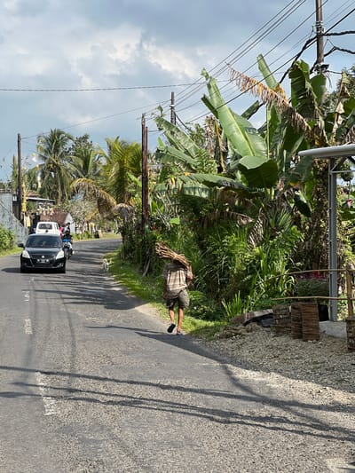 This is a photograph taken in the city of Pupuan, Indonesia. The image captures a street scene with a person walking down the middle of the road carrying a large bundle of wood on their shoulders. The individual is wearing a checkered shirt and shorts, and appears to be walking away from the camera. To the left of the road, a black car is driving towards the camera, with a white van and a motorcycle visible further up the road. A small dog is also present on the side of the road. The environment is lush and tropical, with numerous banana trees and palm trees lining the street. Power lines are visible overhead, suggesting the presence of electricity. The road itself appears to be asphalt and shows signs of wear and tear, with visible potholes. The sky is partly cloudy, with sunlight casting shadows on the road. The overall impression is of a rural or semi-rural setting in a tropical climate.