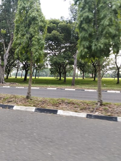 The image shows a roadside view of a park area in Tambontunong, Indonesia. In the foreground, a paved road is visible with a curb lined with black and white alternating segments. Beyond the curb, a grassy area with scattered trees stretches into the background. Several tall, slender trees with dense green foliage are prominently featured on the left and right sides of the frame, appearing somewhat blurred due to motion. The background reveals a wider expanse of a well-maintained lawn dotted with more trees, and in the far distance, hints of buildings and possibly more distant trees are discernible under an overcast sky. The overall impression is one of a peaceful, green urban park space.