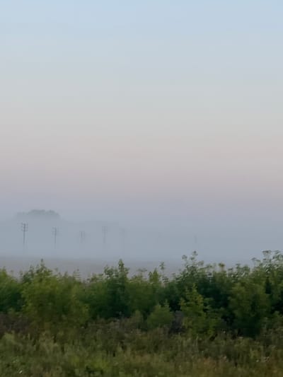 A dense fog obscures a rural landscape at dawn or dusk. In the foreground, a dense growth of green foliage, possibly trees and shrubs, dominates the lower portion of the image. In the mid-ground, several tall, slender utility poles, likely carrying electrical wires, emerge from the mist at intervals. Further in the background, a tree line is faintly visible, also partially shrouded by the fog. The sky above is a pale gradient of soft blues and pinks, indicative of twilight. The overall impression is one of quiet stillness and limited visibility due to the atmospheric conditions. There are no people or animals visible in the image. The scene is consistent with the environment of Verkh-Tula, Russia, which is a rural area with agricultural land and infrastructure common to such regions.