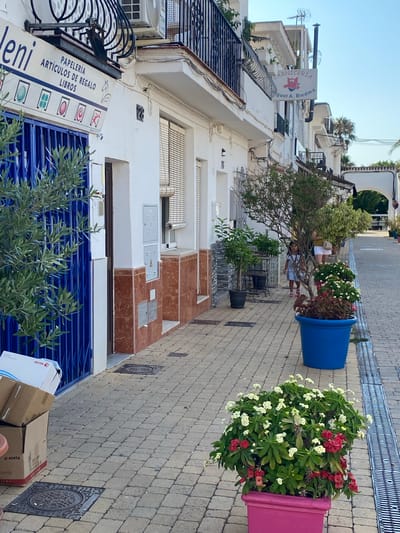 This is a rotated image of a street in Cancelada, Spain, on a bright, sunny day. The scene depicts a narrow pedestrian street lined with buildings and decorative elements. In the foreground, a blue roller shutter is partially closed, with a leafy green olive tree branch extending over it. To the left, a sign for "Jeni PAPELERÍA ARTÍCULOS DE REGALO LIBROS" is visible. Above the shuttered storefront, a white building features an air conditioning unit and a sign that reads "CARNICERIA Miguel A. Biedma".
Further down the street, large potted plants add color to the environment. A vibrant blue planter holds a lush plant with red and white flowers, and a large pink planter also contains a similar flowering plant. Two women, one wearing a white top and shorts and the other in a blue dress, are visible near the blue planter, appearing to be walking or pausing. The street is paved with light-colored brickwork, and a metal drain runs along the side. Cardboard boxes are stacked on the right side of the foreground, one labeled "xerox". The overall impression is one of a charming Mediterranean street scene.