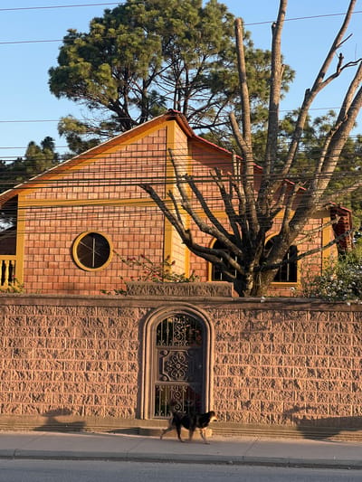 A medium eye-level shot depicts the exterior of a building in Intibucá, Honduras, in daylight. The structure has a combination of brick and textured stone walls, with a gable roof and a mix of rounded and rectangular windows. A large tree with exposed branches and dense foliage partially obscures the building. A cat is on the sidewalk, adjacent to the wall. Electrical wires run above and across the view.