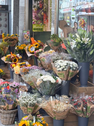 This image depicts a vibrant outdoor flower stand located in front of a shop with a large glass window, likely in the city of Witten, Germany. The shop's facade features a grey, patterned stone exterior. A green banner with the text "BLUMEN RISSE" and a four-leaf clover logo is prominently displayed. The flower stand itself is overflowing with a diverse assortment of flowers arranged in bouquets and bunches, many of which are wrapped in brown paper and clear plastic.
Sunflowers are a dominant feature, with several large bouquets of them visible, some priced at €12.99 and €5.99 respectively. Other flowers include vibrant yellow chrysanthemums, delicate white baby's breath, pink and white roses, and bouquets of small purple and pink blossoms. Tall, elegant white lilies in a large grey vase stand out in the background. A wicker basket filled with smaller floral arrangements is also present.
Reflected in the shop's glass window, which displays various advertisements and a bus stop sign, are blurred figures of people, suggesting pedestrian traffic. One woman is clearly visible inside the shop, looking at her phone. The overall scene conveys a lively and colorful market atmosphere.