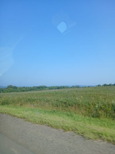 The image depicts a rural landscape under a clear blue sky. In the foreground, a gravel road runs diagonally from the bottom left to the bottom right of the frame. To the right of the road is a field of green grass and wildflowers, with the vegetation appearing blurred due to motion. Beyond the field is a line of trees, forming a dense forest. In the distance, rolling hills are visible, partially obscured by haze. A reflection of what appears to be a vehicle's interior, possibly a rearview mirror, is visible in the upper center of the sky. There are no people or animals present in the image. The scene is likely captured from a moving vehicle. The location is identified as being in the city of Большая Уса, Russia.
