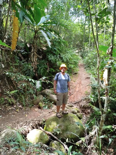 A man wearing a yellow hard hat, a blue t-shirt, and tan shorts stands on a moss-covered rock on a forest trail. He is facing the camera and carrying a black backpack. The trail is a reddish-brown dirt path that winds through a dense forest with a variety of green foliage, including large-leafed plants and ferns. There are fallen leaves and branches on the ground. The location is a forest path in the city of Lac Duong, Vietnam.