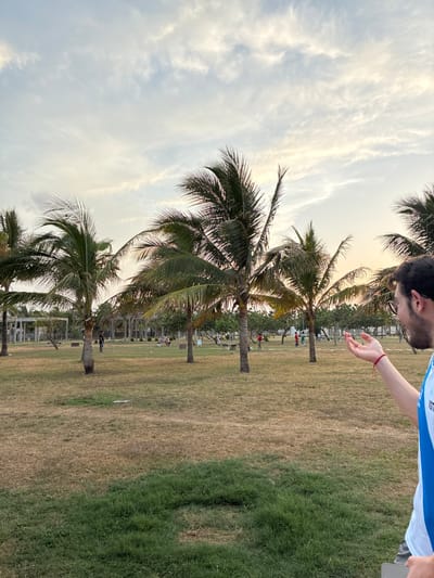 Here is a description of the image:
The image shows a park setting in Coatzacoalcos, Mexico. A line of palm trees stands on the border between a patch of dry grass and lush green grass. In the background, figures of people can be seen in the park. A person with a beard and wearing a blue and white shirt stands at the edge of the frame, with their hand partially visible. The sky is cloudy.