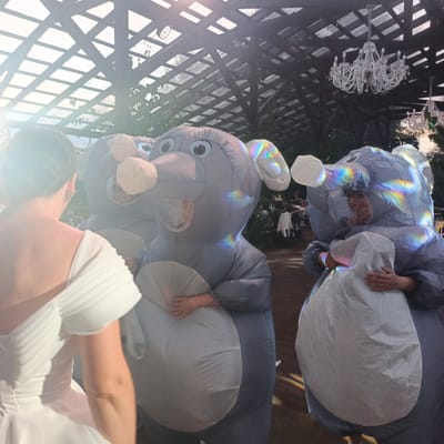 The image depicts an outdoor gathering, possibly a wedding or party, held under a wooden-framed, glass-covered roof. In the foreground, a person wearing a white wedding dress is partially visible from behind, their back and shoulder to the camera. To the right and center, two individuals are dressed in large, inflatable elephant costumes. The elephant costumes are gray and feature large, round ears and visible, cartoonish eyes. One elephant costume has a rainbow-like prismatic effect on its surface, suggesting interaction with light. In the background, tables and chairs are set up, with other guests seated. A large, ornate crystal chandelier hangs from the ceiling structure, indicating a formal or decorative event. The overall atmosphere appears to be celebratory. The mention of Svetloe, Russia, is not supported by visual evidence in the image itself, as no identifiable landmarks or text indicating this location are present.