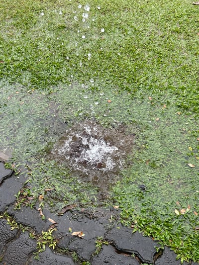 The image shows a close-up, eye-level view of a flooded grassy area adjacent to a paved walkway in Colombo, Sri Lanka. Water is actively splashing in the center of the frame, suggesting a disturbance or a strong water source, possibly from heavy rain or a burst pipe. The grass is green and dense, partially submerged in the standing water. Fallen leaves are scattered on the grass and in the water. The walkway is made of dark, interlocking paving stones, which are wet and reflective. The overall scene depicts an outdoor environment experiencing significant water accumulation, common in Colombo during monsoon seasons or periods of intense rainfall. There are no people or animals visible in the image.
