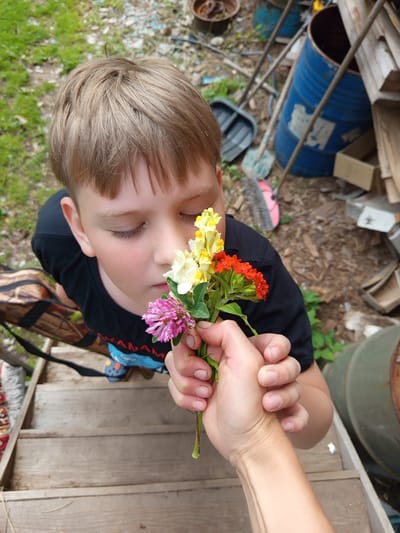 A young boy with blond hair and closed eyes is presented with a small bouquet of wildflowers, including red, yellow, and pink blossoms. The boy wears a black t-shirt. A second person's hand is holding the bouquet to the boy's face. The scene appears to be outdoors, with a background of stacked wood, blue barrels, and dry ground mixed with green grass. Wooden planks are visible in the foreground. The image has a candid feel, suggesting a casual moment, possibly during daylight. There is no visible text. The overall impression is one of innocence and a simple connection with nature.