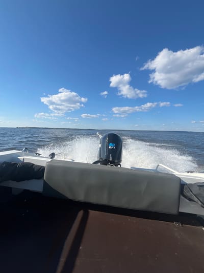 The image shows a motorboat moving through the water, creating a significant wake. The boat has a dark gray upholstered seat and a brown deck. A black outboard motor with "60 EFI" visible in blue lettering is mounted on the back of the boat. The scene is set on a body of water, likely a river or lake, with a tree line visible in the distance. The sky is a clear blue with scattered white clouds. The sunlight suggests it is daytime. The overall impression is one of speed and open water.