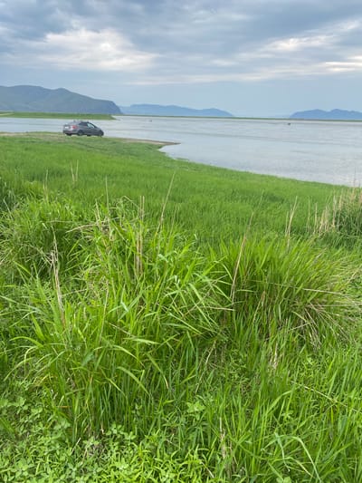 In Chernogorsk, Russia, a gray sedan with a roof rack is parked on a grassy embankment next to a body of water. The car is positioned facing away from the viewer and towards the water. Lush green grass dominates the foreground and extends to the edge of the water. In the background, rolling hills and distant mountains are visible under a cloudy sky. The scene appears to be a natural landscape, possibly a lake or a wide river, with the city of Chernogorsk implied to be in the vicinity.