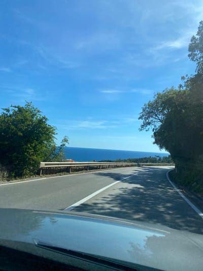 The image captures a scenic coastal road in Nerin, Montenegro. A two-lane asphalt road curves to the right, bordered by a metal guardrail on the left and a steep, tree-covered incline on the right. The sea, a deep blue, stretches out to the horizon under a clear, bright blue sky with scattered wispy clouds. Lush green trees flank the road, with some casting shadows across the asphalt. The foreground shows the hood of a car, reflecting the sky and trees, suggesting the photo was taken from inside a vehicle. In the distance, glimpses of red-tiled roofs can be seen peeking through the trees on the left side of the road.