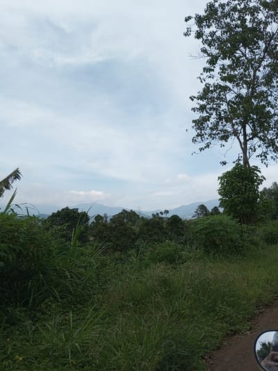 This image captures an outdoor landscape in Kandenuwara, Sri Lanka, observed from a dirt path. The upper portion of the frame features a light blue sky with scattered white cumulus clouds. A hazy mountain range with undulating peaks occupies the distant horizon. Below the mountains, a dense canopy of dark green trees and foliage fills the midground, with faint structures suggesting a small settlement. The foreground consists of abundant green vegetation, including tall grasses, various shrubs, and a prominent leafy tree on the right side. Large, torn green leaves are visible on the far left. In the bottom right corner, a circular side-view mirror reflects the chin and lower face of an individual wearing dark headwear, indicating the presence of the photographer, likely operating a motorcycle. No other individuals or specific actions are explicitly depicted.
