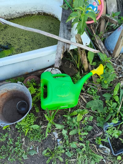 The image depicts an outdoor scene in the city of Ilmino, Russia, characterized by a cluttered and somewhat neglected environment. In the foreground, a bright green plastic watering can with a yellow spout lies on the ground amidst overgrown vegetation and debris. To the left, a weathered metal bucket contains some dark liquid and a smaller metal cup. Behind the watering can and bucket, a white bathtub filled with green, algae-like growth is visible. The background features a chaotic assortment of wooden planks, dried branches, and more plants. Partially visible to the upper right is a colorful child's toy steering wheel and a metal cone-shaped object, suggesting a yard or storage area. The overall impression is one of disarray in a rural or semi-rural setting. There are no people or animals present in the image.