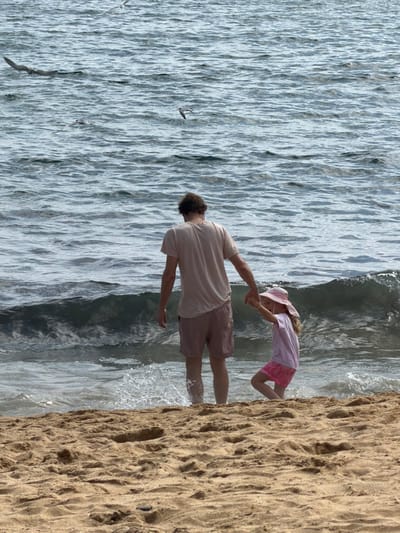 A man holds a young girl's hands and swings her above the water on a beach. The girl wears a pink hat, a light pink shirt, and a darker pink skirt. The man is wearing a tan t-shirt and shorts. The water is a light blue-grey, and the sand is a golden brown. The image is taken from a wide angle, showing the ocean and a few birds flying overhead.