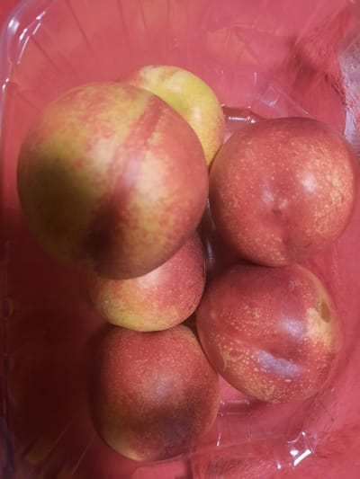 Six ripe nectarines are arranged in a clear plastic container. The nectarines are predominantly red with yellow and green undertones, and speckled with small yellow dots. The container is red and appears to be a common fruit packaging. The lighting is bright, casting subtle shadows on the fruit and the container. The scene is a still life, with no people or actions depicted. The image offers no information about the city of Rosenheim, Germany.