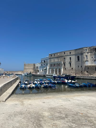 This image depicts a waterfront scene in Monopoli, Italy. In the foreground, a concrete embankment slopes down towards a calm body of water where numerous small, blue fishing boats are moored. Many of these boats are covered with tarps or cloths. Beyond the boats, a historic building with arched loggias and weathered stone facades lines the waterfront. To the left, a section of a fortification wall with battlements and a flag is visible. The sky is clear and blue, indicating a sunny day. A few people can be seen walking along the waterfront and on the embankment. The overall impression is of a picturesque coastal town.