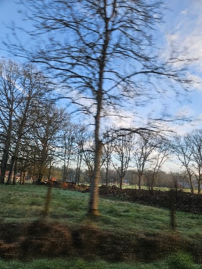 This image, captured in Émancé, France, presents a blurred rural landscape, indicative of being photographed from a moving platform. A tall, bare deciduous tree with a light-colored trunk occupies the central foreground, its form elongated and indistinct due to motion blur. To the left, a dense grouping of leafless trees and some evergreens marks the edge of a field. The ground in the foreground and middle ground consists of green grass, showing patches consistent with frost or dew. Darker, disturbed earth or piles of organic matter are visible in the lower right and along a subtle ridge in the middle distance. A continuous line of bare trees forms the background. Faintly visible through the trees on the far left are red-roofed structures, while white fencing or posts are discernible further right in the distant background. The sky is blue with scattered, streaked white clouds, suggesting a partially clear day. No individuals or active subjects are present.