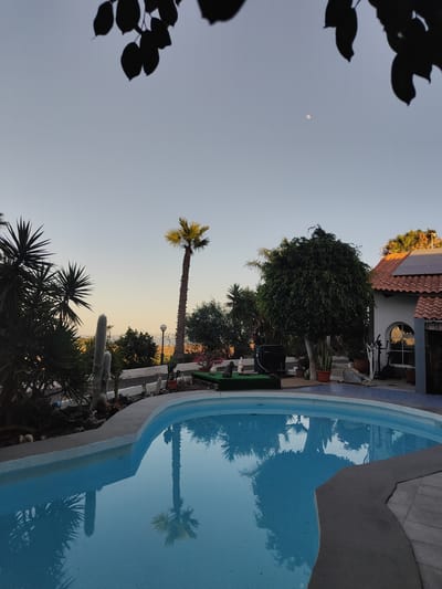 This is an outdoor, eye-level, medium shot of a swimming pool in El Salobre, Spain. The image is captured at dusk, with a clear sky and the moon faintly visible. In the foreground, a curved, blue swimming pool occupies the majority of the frame. The water reflects the surrounding palm trees and a tall, slender palm tree to the left. The pool is bordered by a grey concrete edge and a paved area. To the left of the pool, lush, dark green foliage, including spiky yucca plants and a tall, fuzzy cactus, dominates the scene. In the mid-ground, a tall palm tree with yellowing fronds stands out against the dusky sky. Behind it, a white building with a red-tiled roof is visible. Solar panels are mounted on the roof of the building. Exercise equipment, including a stationary bike and a treadmill, are placed on the paved area near the building. Various potted plants and garden decorations are scattered around the property. The overall atmosphere is serene and tropical.