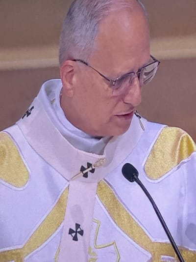 This is a close-up, medium shot of a man in religious vestments speaking into a microphone. The man has graying hair and wears glasses. His attire appears to be a white robe with gold trim and embroidered crosses. The background is a muted, light brown color, suggesting an indoor setting. The image is tightly cropped, focusing on the man's upper body and face, and does not provide any visual cues about the specific location in La Fontsanta I Can Fatjó, Spain.