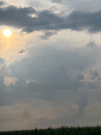 A low-angle, full shot captures a sunlit sky filled with dramatic clouds. The sun, a bright, warm orb, is visible in the upper left quadrant, partially obscured by a layer of gray, wispy clouds. The clouds dominate the frame, ranging from dark, dense formations to lighter, more diffused masses, creating a sense of depth and texture. The lower portion of the image features the dark green, silhouetted tops of a cornfield, suggesting an outdoor, agricultural setting. The overall lighting is soft and diffused, hinting at either sunrise or sunset. The scene is devoid of any human presence or discernible activity, focusing solely on the natural elements of the sky and the foreground field. The location is identified as Ryahovo, Bulgaria.
