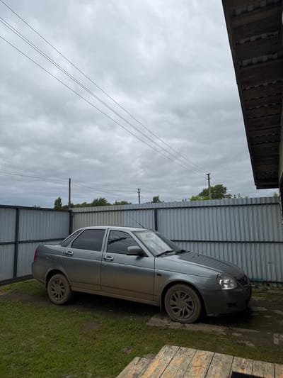 A dull gray sedan is parked on a patch of grass in what appears to be a rural or suburban backyard. The car is dusty, suggesting it has been driven on unpaved roads. Behind the car is a corrugated metal fence, and beyond that, trees and utility poles are visible under an overcast sky. The scene is likely located in Borodulino, Russia, given the mention of the location. There are no people or animals visible in the image, and no specific actions are taking place. The overall impression is one of a quiet, unremarkable day in a residential area.
