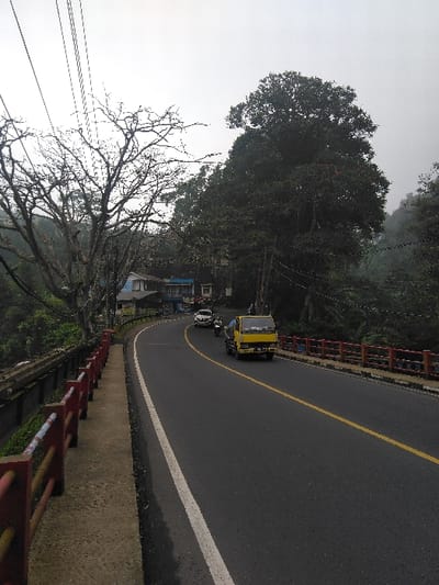 This image depicts a curving asphalt roadway in Cugenang, Indonesia, under an overcast, light grey sky. The road features a solid white line delineating the right shoulder and a double solid yellow line marking the center. Along the left side of the road, a concrete sidewalk is present, bordered by a painted red and yellow metal railing, indicating a bridge or elevated section. Below the railing and extending into the background on the left, dense green vegetation covers a decline, with partially visible structures resembling buildings or houses interspersed among the trees. On the right side of the roadway, a steep embankment is densely covered with dark green foliage and trees, including a prominent large tree with a full, dark canopy in the mid-ground. Overhead, multiple utility lines are visible in the upper left quadrant. Vehicular traffic is observed moving away from the viewer in the right lane, including a yellow utility truck, a motorcycle directly behind it, and a white car followed by another motorcycle further down the road. No pedestrians are visible.