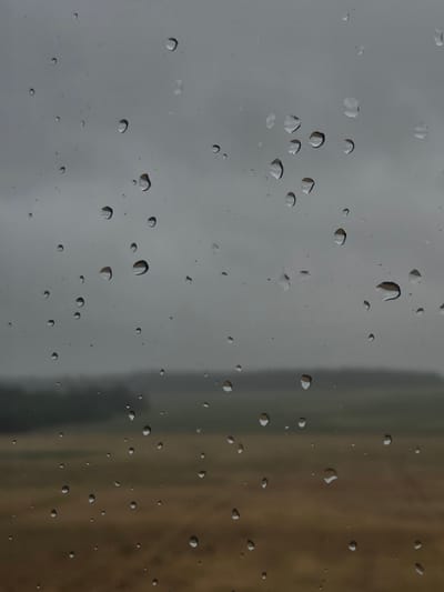 The image is a close-up of raindrops on a windowpane, with a blurred landscape visible in the background. The foreground is dominated by numerous water droplets of varying sizes, reflecting the overcast sky and the muted colors of the scene beyond. The droplets create a textured, almost abstract effect, obscuring the details of the landscape. The background depicts a somewhat desolate, rural scene, possibly agricultural fields, with a dark, treeline or wooded area in the distance under a gray, cloudy sky. There is no indication of human presence or activity within the frame. The image appears to have been taken from inside a building or vehicle, looking out. The specific location of Міханавіцкі сельскі Савет, Belarus, cannot be determined from the visual information presented in the image itself.