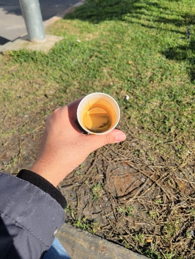The image captures a top-down perspective of a person's hand holding a white paper cup outdoors. The hand, which appears to be an adult's, has a light to medium skin tone, with the thumb prominently visible resting on the side of the cup. The person is wearing a dark-colored jacket or sleeve with a black elastic cuff visible around the wrist. A glimpse of blue fabric, possibly jeans, can be seen at the far right.
The paper cup contains a light brown or amber-colored liquid, likely coffee or tea, with some dark, irregular marks or residue visible towards the bottom and inner side of the cup, suggesting it might be partially consumed or have settled contents. The inside of the cup shows a slight orange-brown staining.
The background is divided into two distinct areas. To the left, there is a vibrant expanse of green grass, suggesting a well-maintained lawn or park area. Shadows, possibly from trees or an overhead structure, fall across this grassy section, indicating bright sunlight. Along the bottom left edge, a grey metal rail or pipe runs horizontally, with a concrete or paved curb visible beneath it.
To the right, the ground appears drier and more rugged. This area consists of exposed dirt, intertwined roots, dried leaves, and scattered patches of sparse, greenish-brown vegetation. The contrast between the lush green grass and the dry, root-filled ground creates an interesting texture variation in the scene. The overall setting appears to be an outdoor environment, possibly a park, pathway, or a casual outdoor space during daylight hours given the clear lighting. There is no visible text in the image.