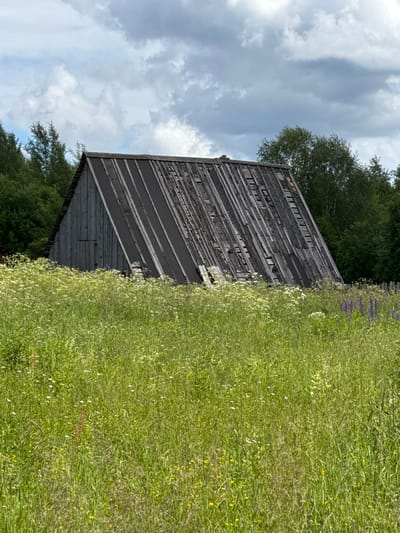 An abandoned wooden shed stands partially obscured by tall, green grass and wildflowers. The shed has a steeply pitched roof covered in dark, weathered material, with some sections appearing damaged or missing. The walls are also made of grey, vertical wooden planks. A small, dark door is visible on the left side of the shed. The background consists of dense green trees and a cloudy sky. The scene is set in a rural or natural environment, possibly on the outskirts of the city of Chelva, Russia.