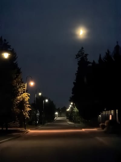 The image depicts a night scene in the city of Zimyonki, Russia. A pathway or road is lined with trees and streetlights, illuminated by the soft glow of the lamps and the pale light of a crescent moon in the dark, cloudy sky. The road recedes into the distance, creating a sense of depth. The surrounding trees are dark silhouettes against the night sky. The overall atmosphere is quiet and serene.