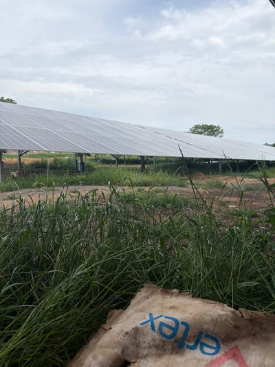 The image presents an outdoor scene, possibly in a rural area near Lacock, United Kingdom. A series of solar panels extends into the distance under a cloudy sky. The panels are arranged in a grid-like fashion on a brownfield. In the foreground, dense green grass and foliage dominate the view. Debris with some writing on it is among the grass.