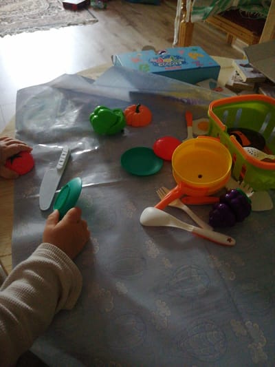 The image shows a close-up of a child's hands playing with a toy kitchen set on a patterned tablecloth. The subjects are a child's hands and a collection of colorful toy food items and kitchen utensils. The objects include a red toy tomato, a green toy bell pepper, an orange toy pumpkin, a yellow toy pot or bowl, a green toy plate, and several white and orange toy utensils like a knife, spoon, and fork. There's also a green plastic toy basket with a white handle. The setting appears to be indoors, likely on a table covered with a light blue tablecloth featuring a pattern of hot air balloons and clouds.
The activity taking place is a child playing with a toy kitchen set, simulating cooking or preparing food. One hand is holding the red tomato, while the other is holding a green toy plate and a white toy knife. The other toys are spread out on the tablecloth around the child's hands.
Notable details include the bright colors of the toys, suggesting a playful and cheerful atmosphere. The lighting appears to be natural, possibly from a window, creating some shadows on the tablecloth. There are no visible clues about the time of day or weather. The location context is Dubrovka, Russia, but there are no specific visual cues within the image to confirm this. No text is visible in the image itself.