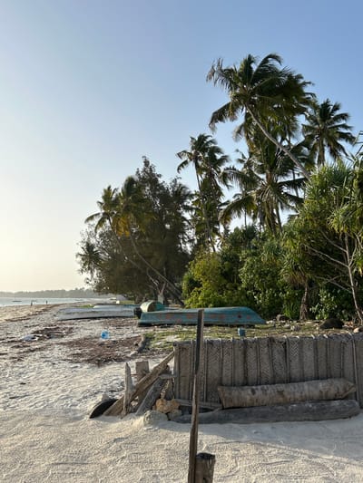 This media file captures a serene tropical beach scene in Kiwengwa, Tanzania. The image, when correctly oriented, displays a clear blue sky dominating the upper portion. Lush green vegetation, primarily tall palm trees with their distinctive fronds, fills the upper left and central-left areas, extending into the mid-ground. Denser green foliage from other trees forms a thick border along the back of the beach.
The foreground and right side of the image are occupied by a wide expanse of light-colored sandy beach. Several traditional wooden boats are beached on the sand, with one prominent, old, blue-painted vessel appearing in the mid-ground. To the right, a structure made of woven palm fronds or thatch stands on the sand, possibly a shelter or storage shed, with wooden posts and planks nearby. Some natural debris, like leaves and possibly seaweed, is scattered on the sand near the water's edge, along with a visible plastic bottle.
The calm ocean or sea is visible as a light blue stripe on the horizon, between the beach and the distant land or sky. The lighting suggests a bright day, possibly early morning or late afternoon, given the soft, warm glow near the horizon and the clear, unclouded sky. There are no people visible, contributing to a tranquil and undisturbed atmosphere. No discernible text is present in the image.