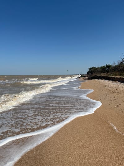 A wide, sandy beach slopes down to the sea under a clear blue sky. The waves are choppy and light brown, with white foam cresting and washing onto the shore. In the distance, a few people are visible in the water, and a small kite is flying. The shoreline is bordered by a strip of dry vegetation and some driftwood. The sand is a light brown color and shows footprints from previous visitors.